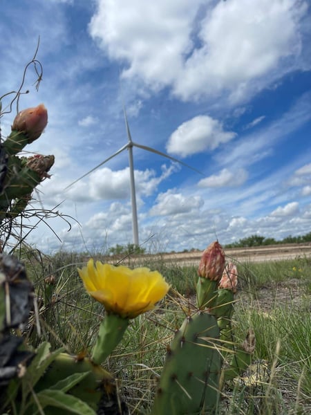 White Mesa Wind Crockett County Texas Blattner Energy